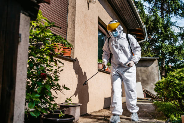 Best Pest Removal Services  in Wingdale, NY