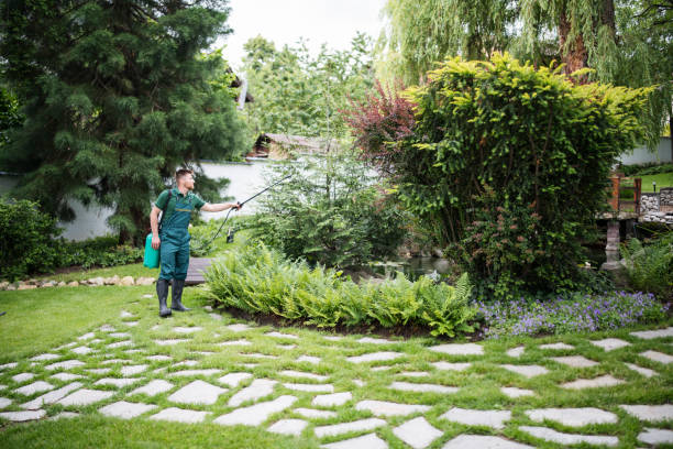 Best Mosquito Control Services  in Wingdale, NY