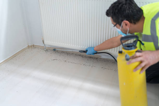 Best Residential Pest Control  in Wingdale, NY